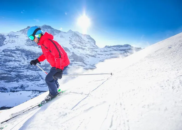 Appartement Allod Park Haus C 705 By Interhome