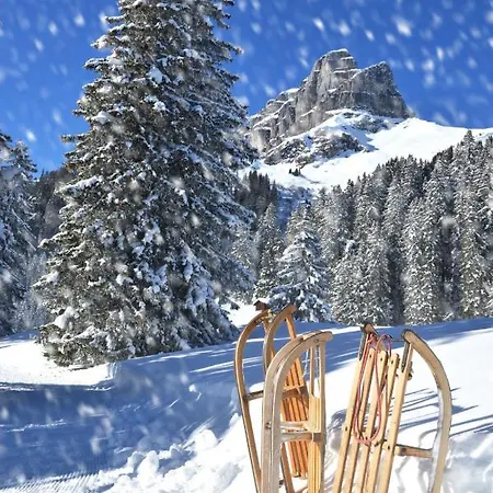 Allod Park Haus C 705 By Interhome Davos